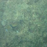 Picture 059